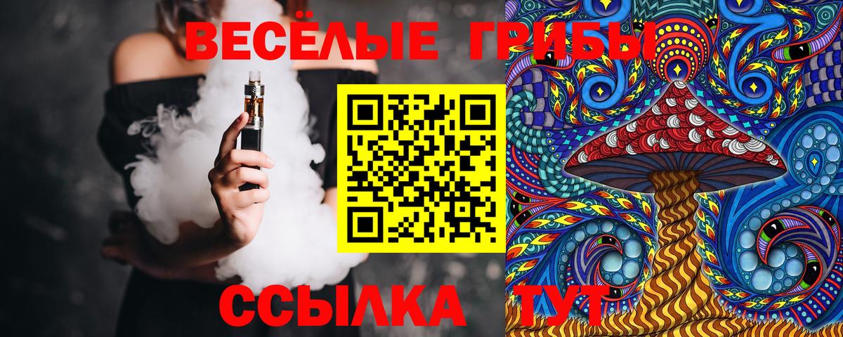 Осинники  Псилоцибиновые грибы Psilocybe  Вход с VPN 