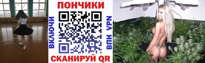 shop Telegram  Осинники  МАРИХУАНА VHQ 