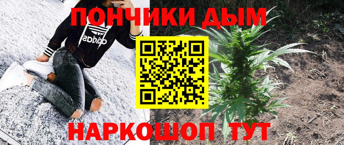 Шишки марихуана Amnesia Осинники
